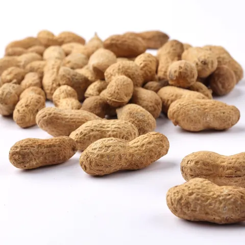 Pečeni kikiriki u ljusci — Klasik | Gric Produkt